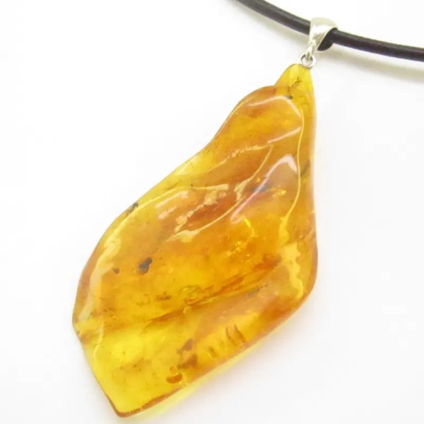 Owady, inkluzje roślinne w bursztynie i srebro - zawieszka z rzemieniem
