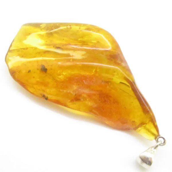 Owady, inkluzje roślinne w bursztynie i srebro - zawieszka z rzemieniem