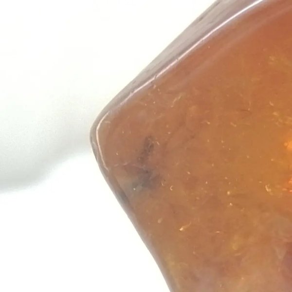 Owad, inkluzje roślinne w bursztynie i srebro - wisiorek z rzemieniem