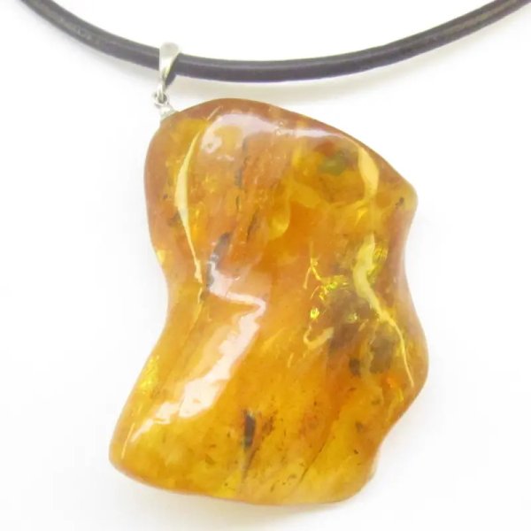 Owady, inkluzje roślinne w bursztynie i srebro - zawieszka z rzemieniem