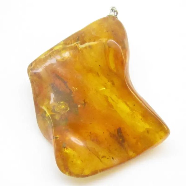 Owady, inkluzje roślinne w bursztynie i srebro - zawieszka z rzemieniem
