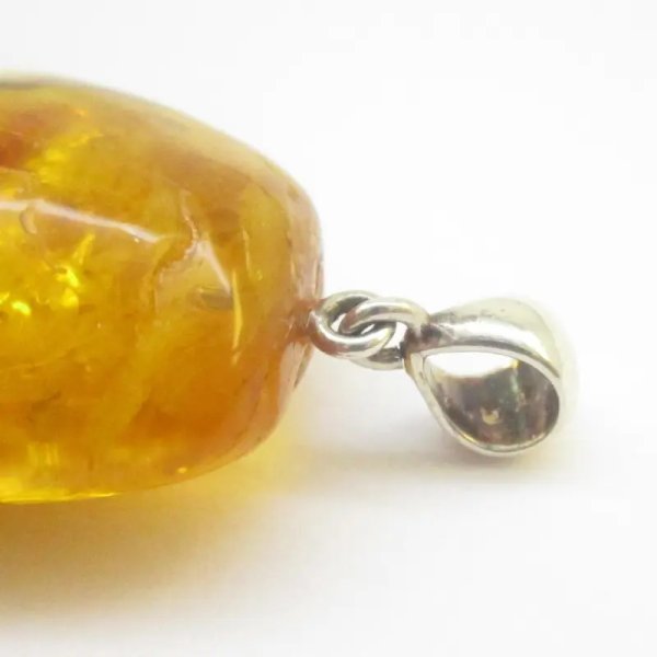Owad, łodyga, inkluzje roślinne w bursztynie i srebro - zawieszka z rzemieniem