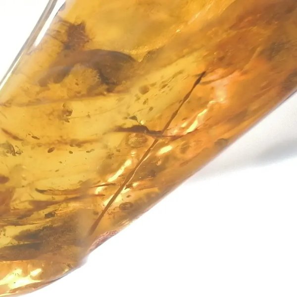 Owad, łodyga, inkluzje roślinne w bursztynie i srebro - zawieszka z rzemieniem