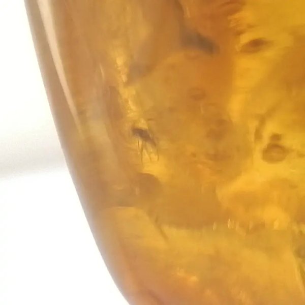 Owad, łodyga, inkluzje roślinne w bursztynie i srebro - zawieszka z rzemieniem