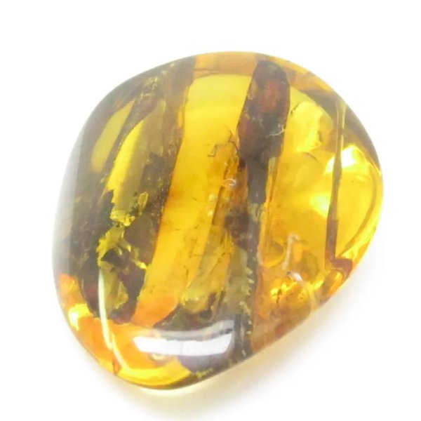 Łodygi traw w przezroczystym bursztynie 78,5x57x22 mm