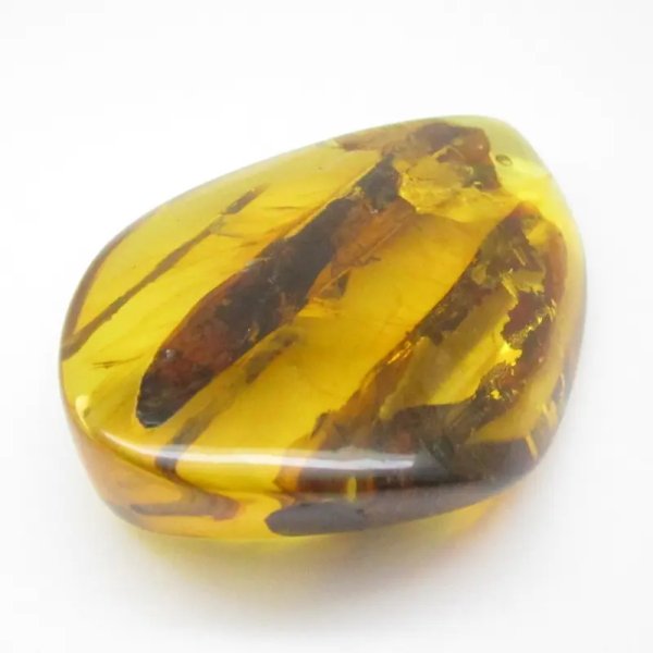 Łodygi traw w przezroczystym bursztynie 78,5x57x22 mm