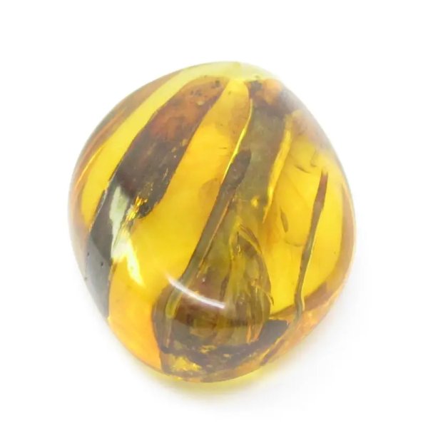 Łodygi traw w przezroczystym bursztynie 78,5x57x22 mm