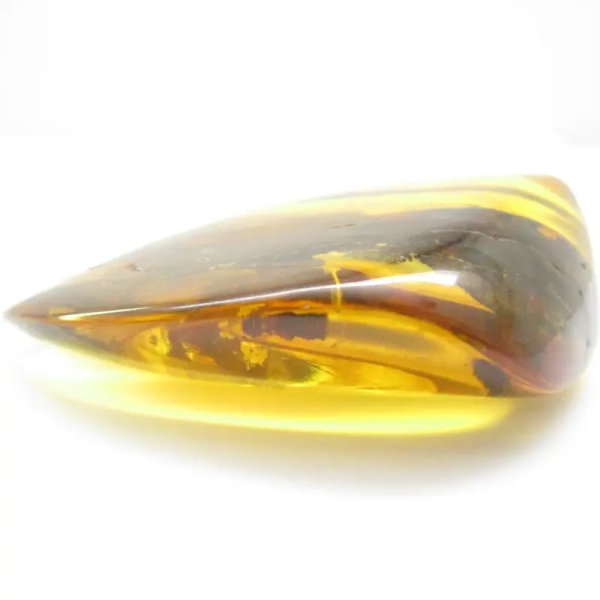 Łodygi traw w przezroczystym bursztynie 78,5x57x22 mm