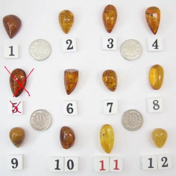 Koniakowy Bursztyn z łuskami