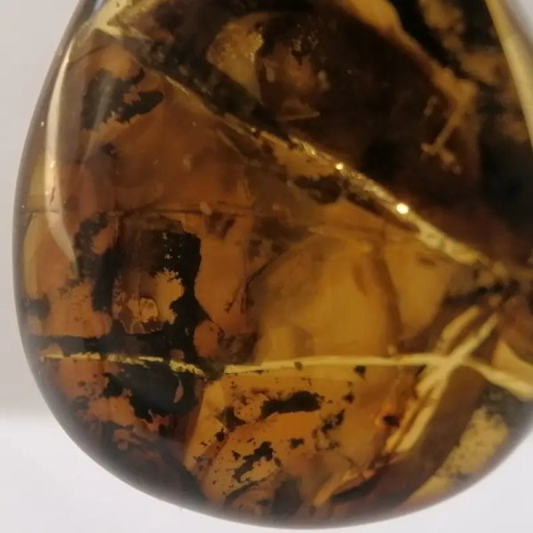 Inkluzje roślinne i pęcherzyki powietrza w bursztynie i srebro - wisiorek z rzemieniem