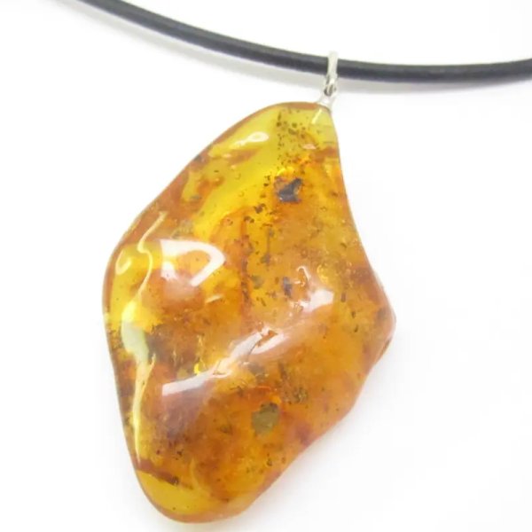 Owady, inkluzje roślinne w bursztynie i srebro - wisiorek z rzemieniem