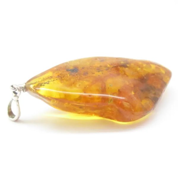 Owady, inkluzje roślinne w bursztynie i srebro - wisiorek z rzemieniem