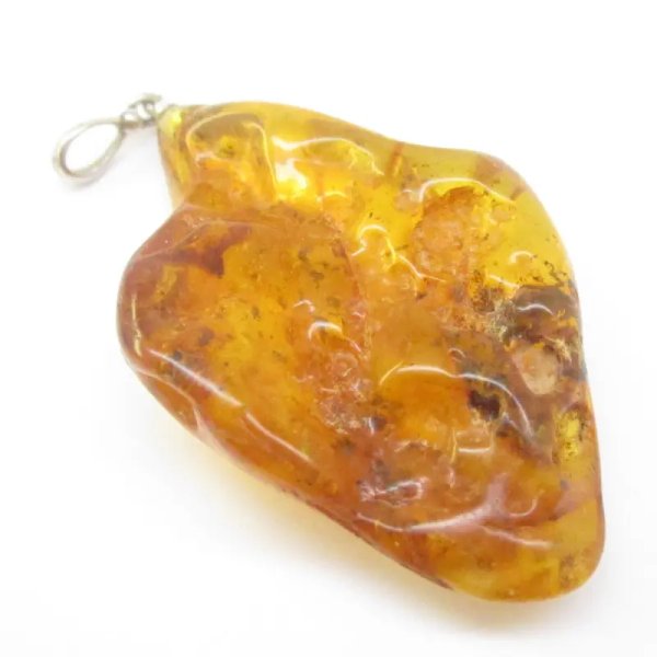 Owady, inkluzje roślinne w bursztynie i srebro - wisiorek z rzemieniem