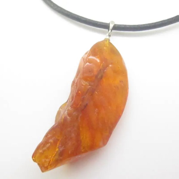 Owad, inkluzje roślinne w bursztynie i srebro - wisiorek z rzemieniem