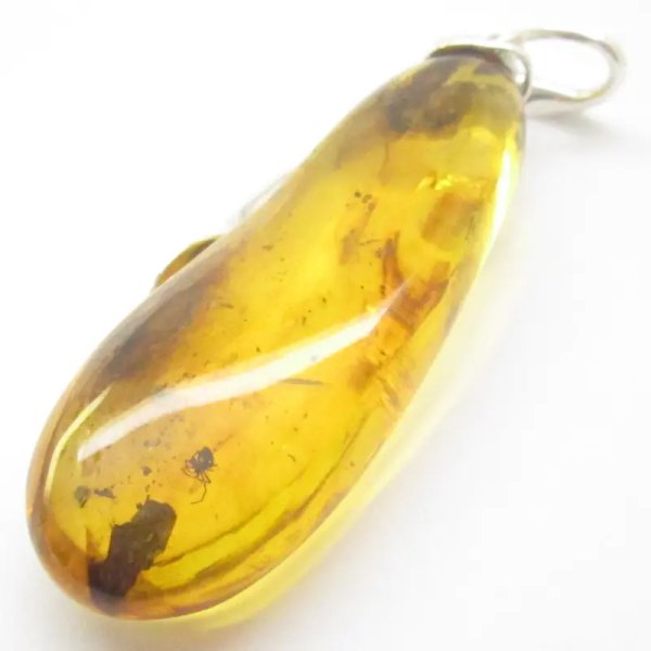 Pająk w przezroczystym bursztynie i srebro - zawieszka z rzemieniem