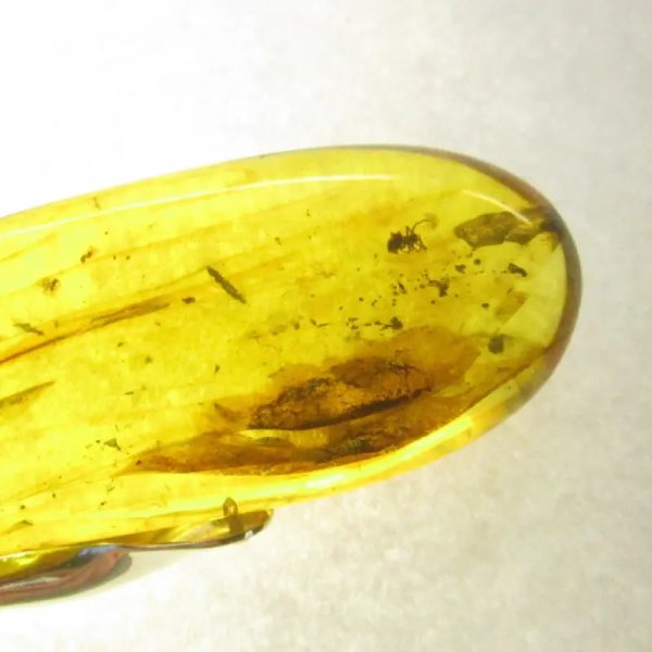 Pająk w przezroczystym bursztynie i srebro - zawieszka z rzemieniem