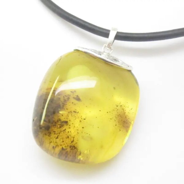 Szczątki organiczne w przezroczystym bursztynie i srebro - wisiorek z rzemieniem