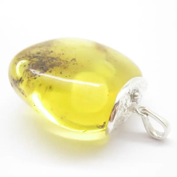 Szczątki organiczne w przezroczystym bursztynie i srebro - wisiorek z rzemieniem