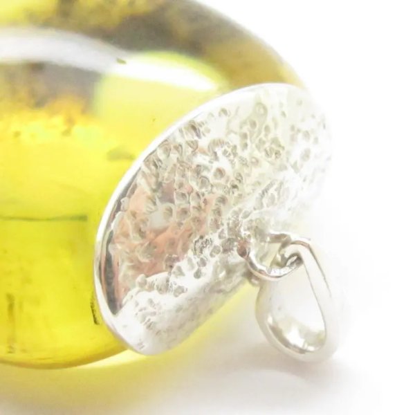 Szczątki organiczne w przezroczystym bursztynie i srebro - wisiorek z rzemieniem