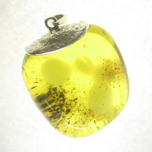 Szczątki organiczne w przezroczystym bursztynie i srebro - wisiorek z rzemieniem