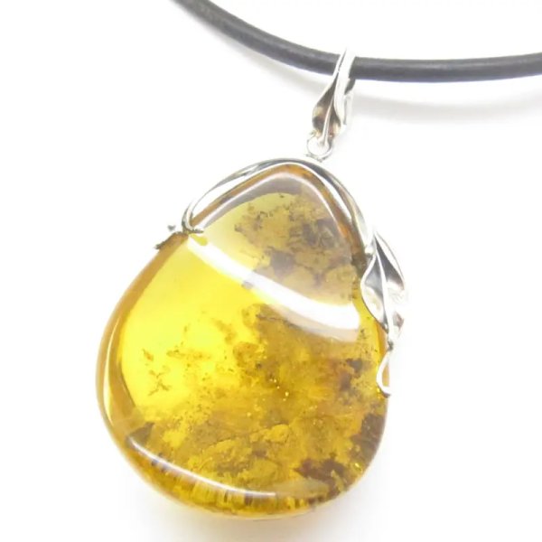 Szczątki roślinne w przezroczystym bursztynie w kształcie wklęsłej soczewki i srebro oksydowane - zawieszka z rzemieniem