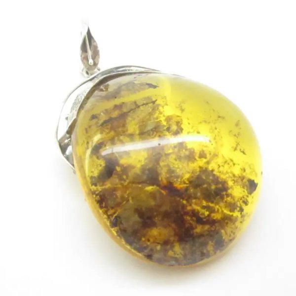 Szczątki roślinne w przezroczystym bursztynie w kształcie wklęsłej soczewki i srebro oksydowane - zawieszka z rzemieniem