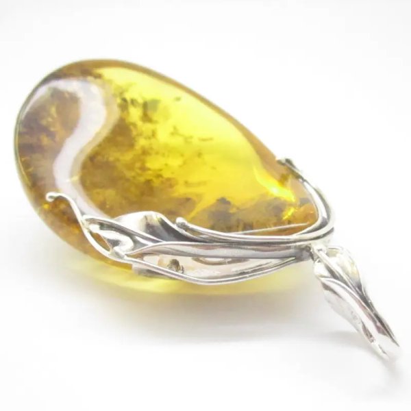 Szczątki roślinne w przezroczystym bursztynie w kształcie wklęsłej soczewki i srebro oksydowane - zawieszka z rzemieniem