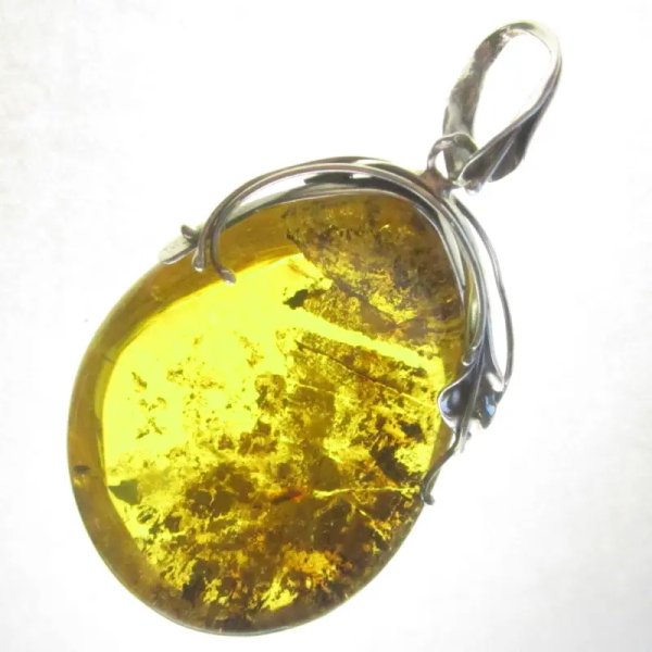 Szczątki roślinne w przezroczystym bursztynie w kształcie wklęsłej soczewki i srebro oksydowane - zawieszka z rzemieniem