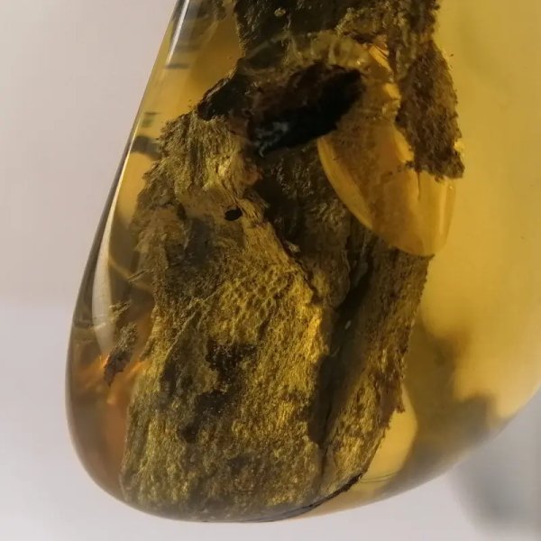 Kora w przezroczystym bursztynie i srebro młotkowane - zawieszka z rzemieniem