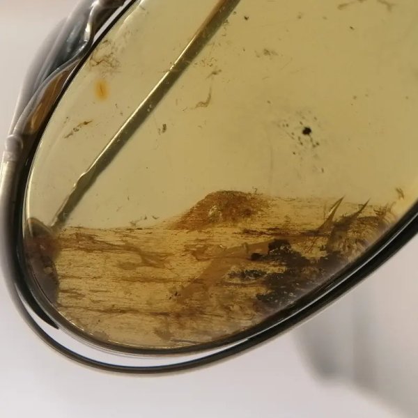 Szczątki roślinne w przezroczystym bursztynie i srebro oksydowane - broszka