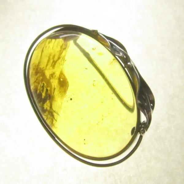 Szczątki roślinne w przezroczystym bursztynie i srebro oksydowane - broszka