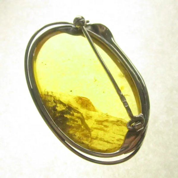 Szczątki roślinne w przezroczystym bursztynie i srebro oksydowane - broszka