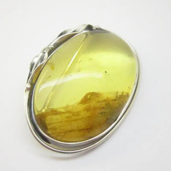 Szczątki roślinne w przezroczystym bursztynie i srebro oksydowane - broszka