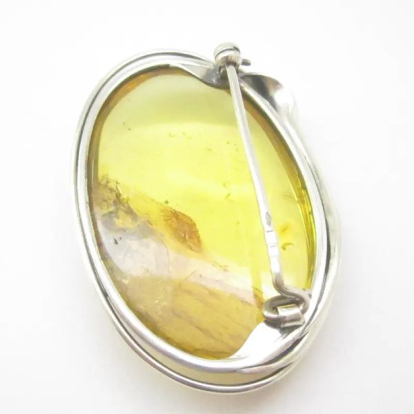 Szczątki roślinne w przezroczystym bursztynie i srebro oksydowane - broszka