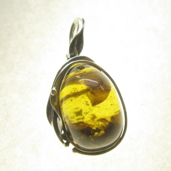 Szczątki roślinne w przezroczystym bursztynie i srebro oksydowane - zawieszka z rzemieniem