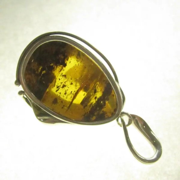 Szczątki roślinne w przezroczystym bursztynie i srebro oksydowane - zawieszka z rzemieniem