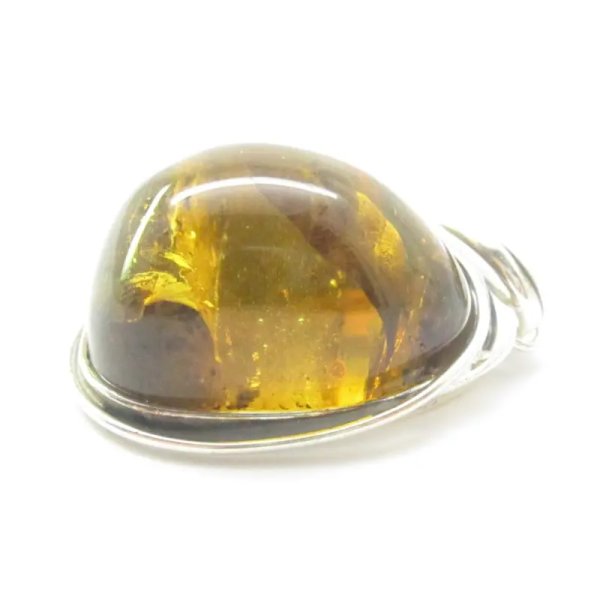 Szczątki roślinne w przezroczystym bursztynie i srebro oksydowane - zawieszka z rzemieniem