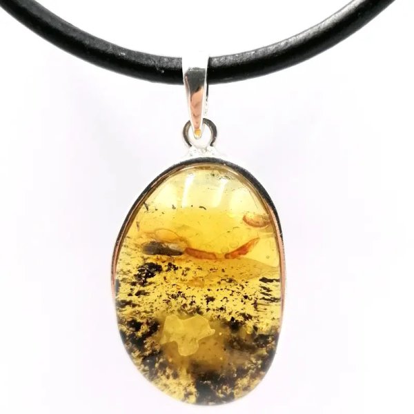Żuk w przezroczystym bursztynie i srebro - zawieszka z rzemieniem