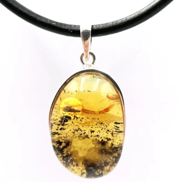Żuk w przezroczystym bursztynie i srebro - zawieszka z rzemieniem