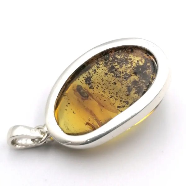 Żuk w przezroczystym bursztynie i srebro - zawieszka z rzemieniem