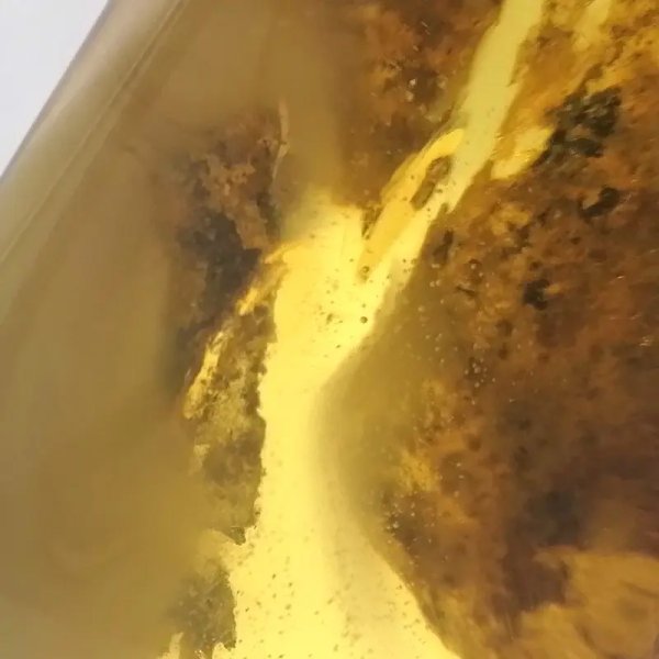 Bursztyn i srebro - zawieszka