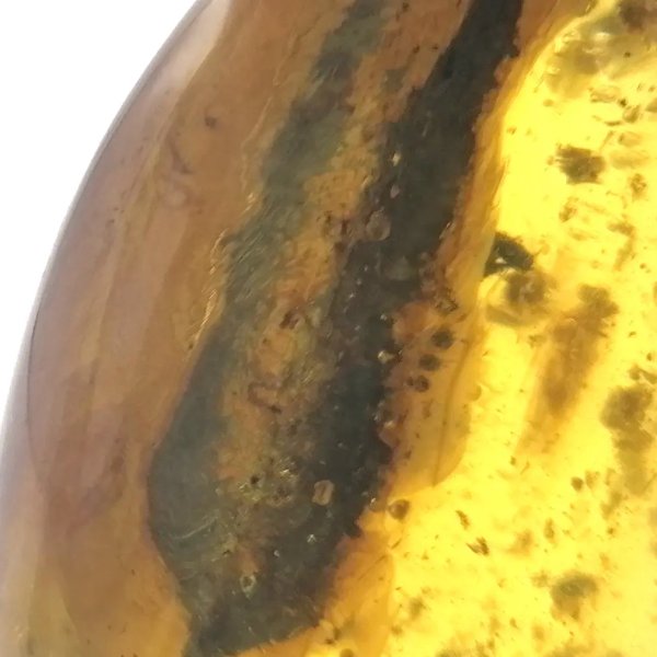 Mucha, Kawałek liścia w bursztynie i srebro - zawieszka