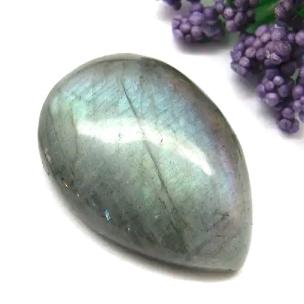 Numer 72 : 31x22x8 mm