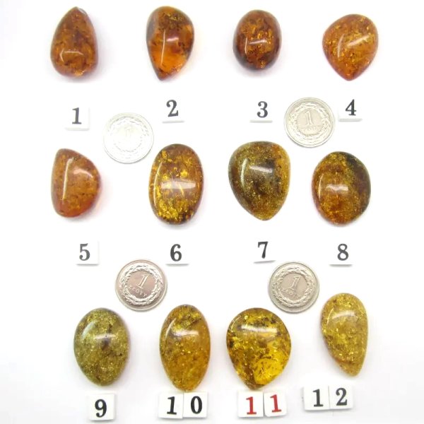 Koniakowy Bursztyn z łuskami