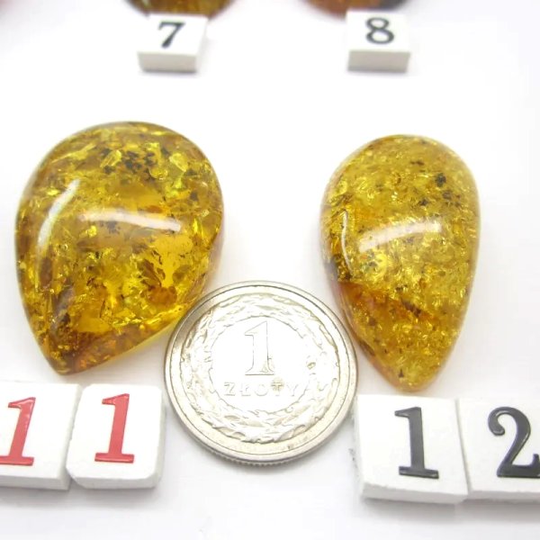 Koniakowy Bursztyn z łuskami