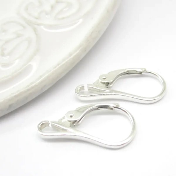 Srebro Ag - bigle angielskie 19x9mm (para)