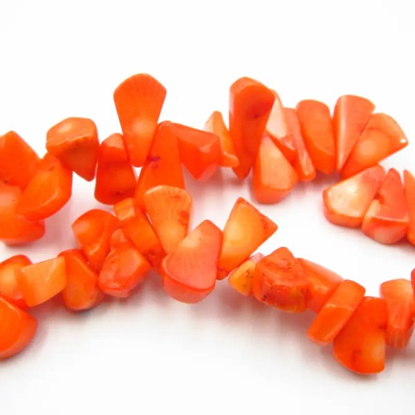 Koral pomarańczowy łzy nieregularne (sznur)
