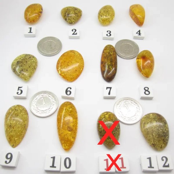 Koniakowy i zielony Bursztyn z łuskami