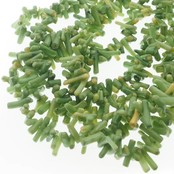 Koral zielony patyczki (sznur)