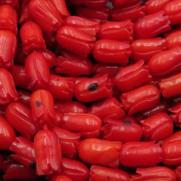 Koral czerwony tulipan 8x5 mm (sznur) - drugi gatunek